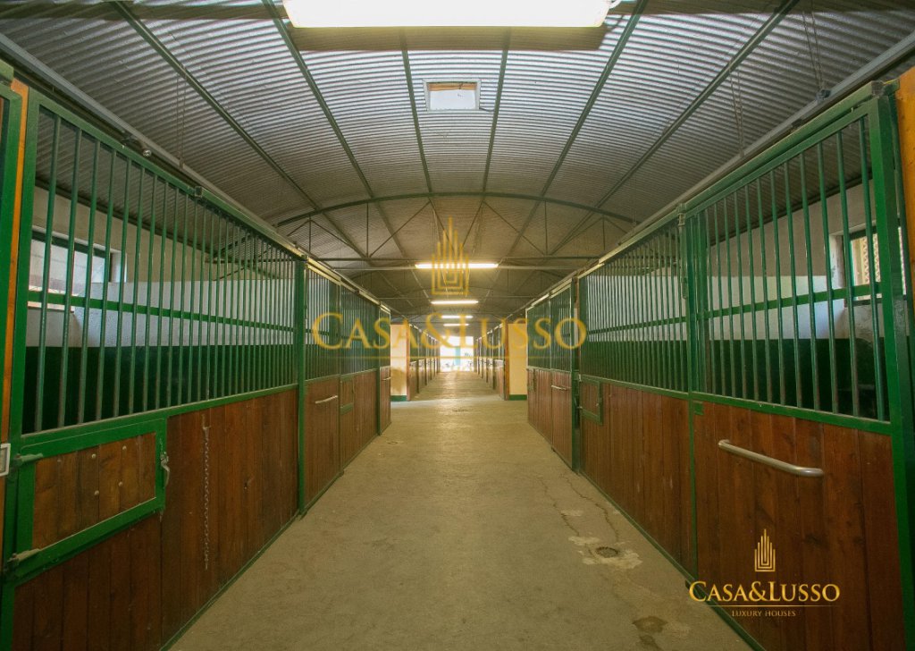 For Sale Villas Gavirate - Ranch with stables of racehorses Locality 