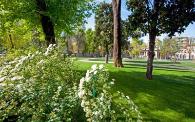 Penthouse for Sale 390 sqm., Milan, locality Bicocca - 49